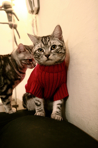 国足关键比赛换人时机成功率分析，国足比赛可以换几个人