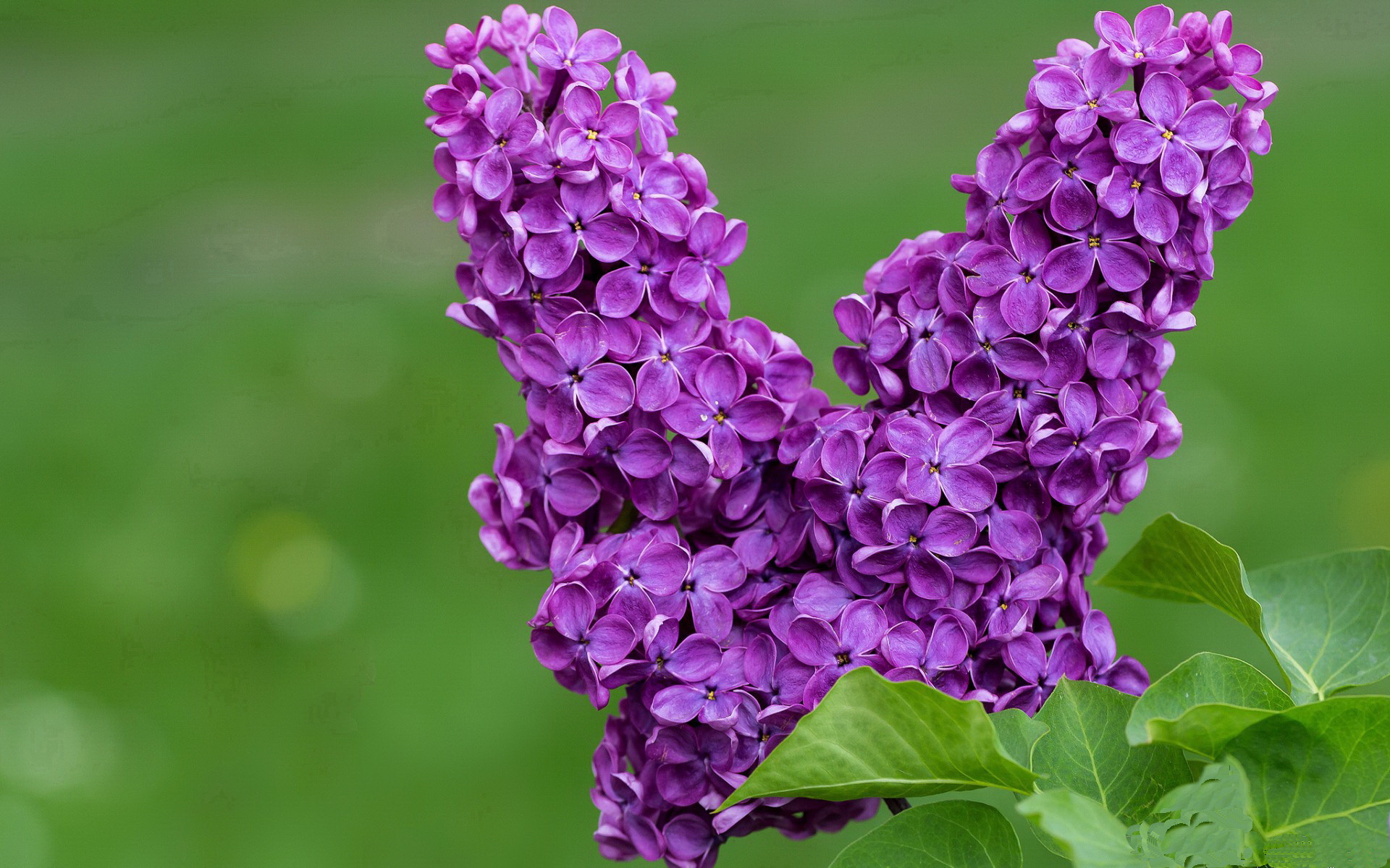 AC米兰-西甲VAR系统引入语境识别功能加强即时决策能力，西甲var使用规则