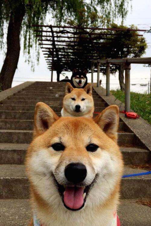 CBA多支球队青训体系完善 培养未来之星,cba球队青训几级梯队