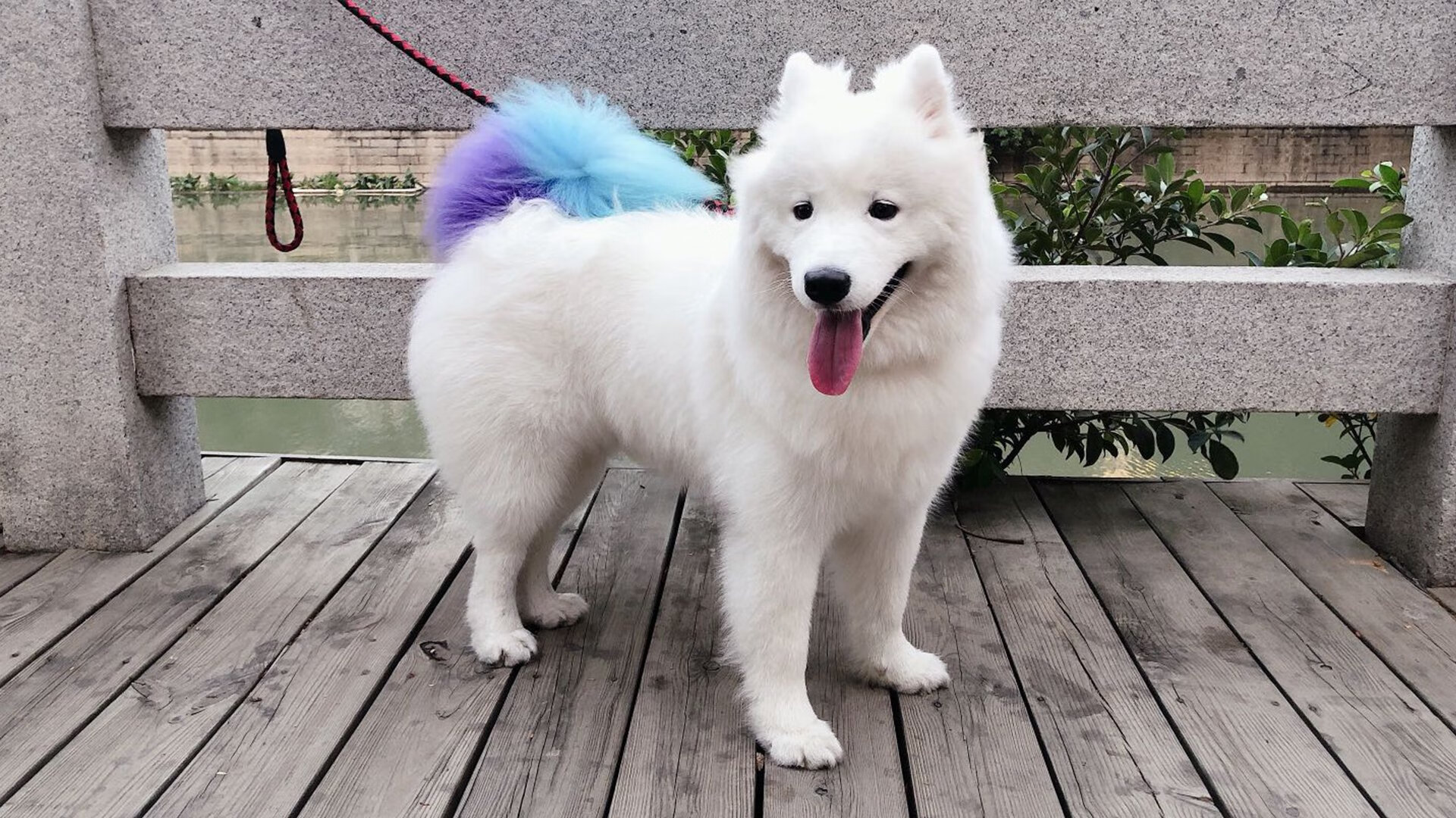 米兰登录入口-CBA球队集体南下拉练 适应高温训练挑战，cba下面的联赛