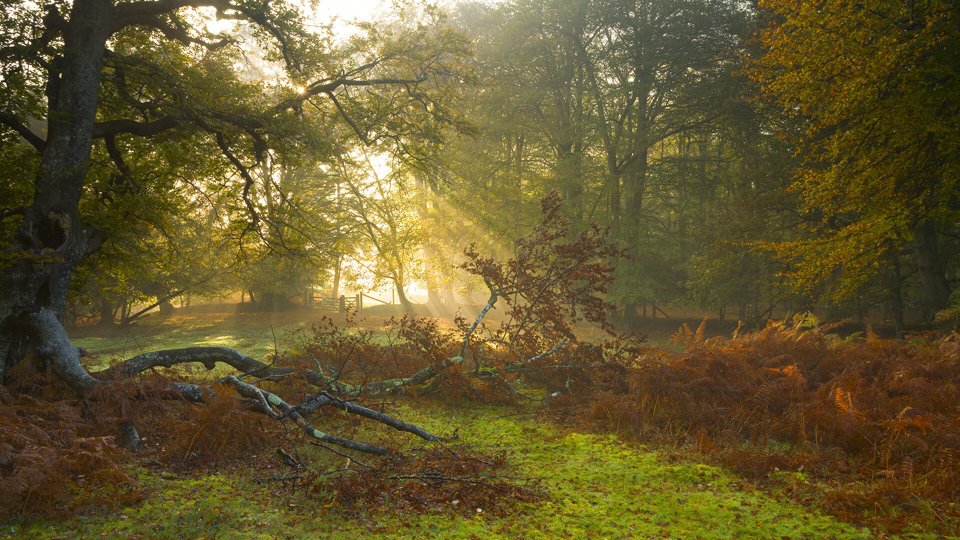 “沙滩合球:天府新区沙滩赛场带来新运动风潮”