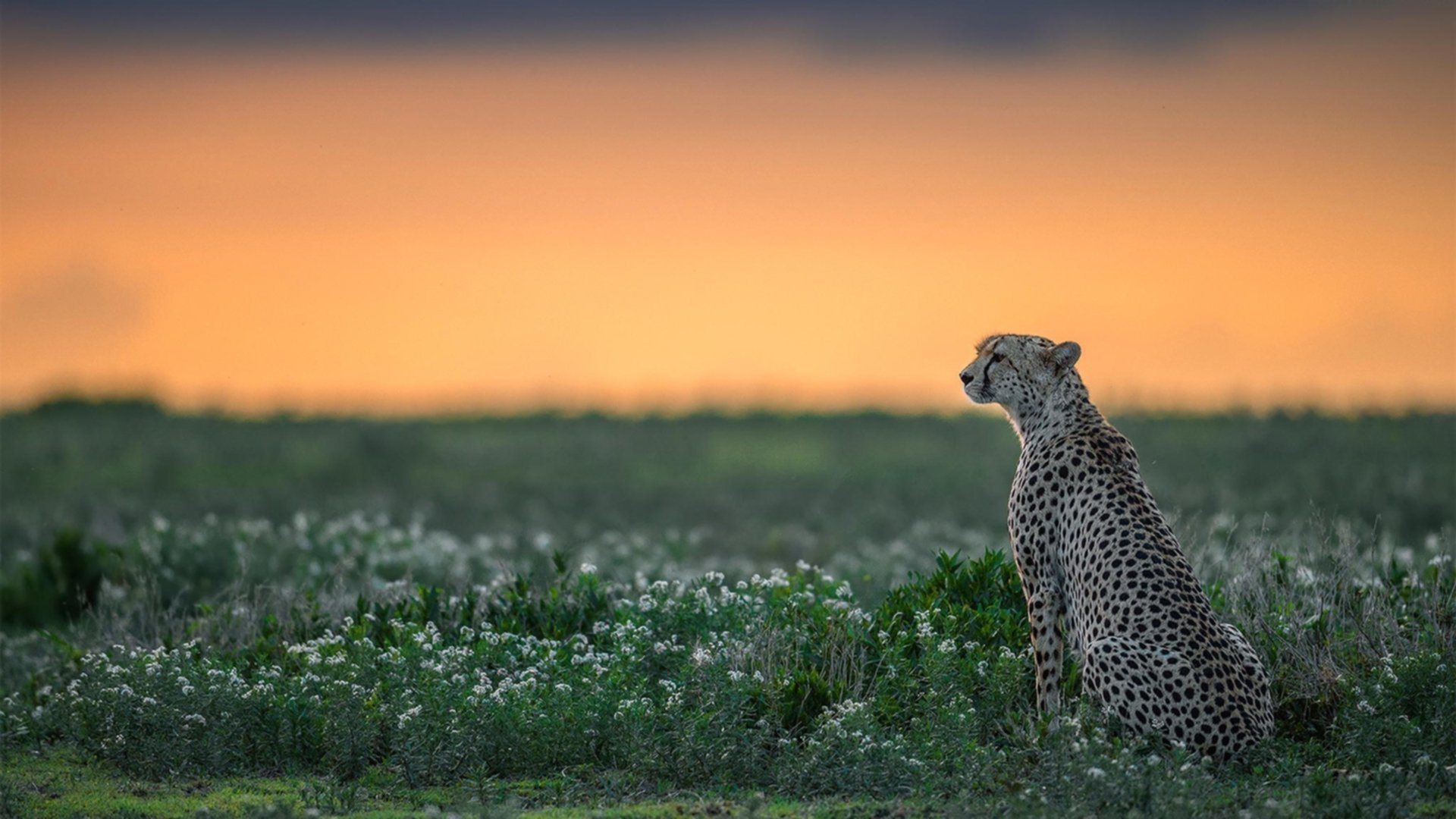 米兰体育官网-中国香港队的拼搏与团结：国际乒联混合团体世界杯中的关键表现