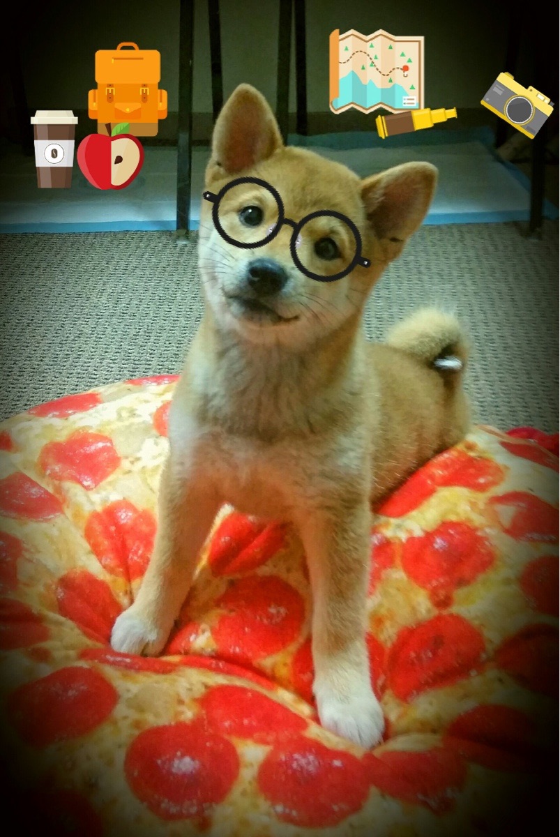 AC米兰-内线球员在节奏变化中是否能维持有效协防，内线球员怎么运用自己身体