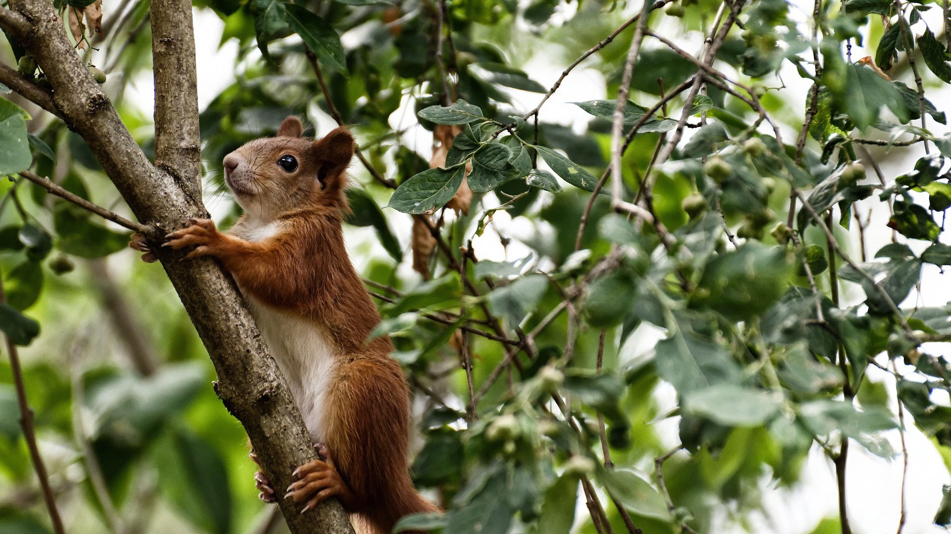 出发时间与奖牌概率成正相关,出发时间和到达时间