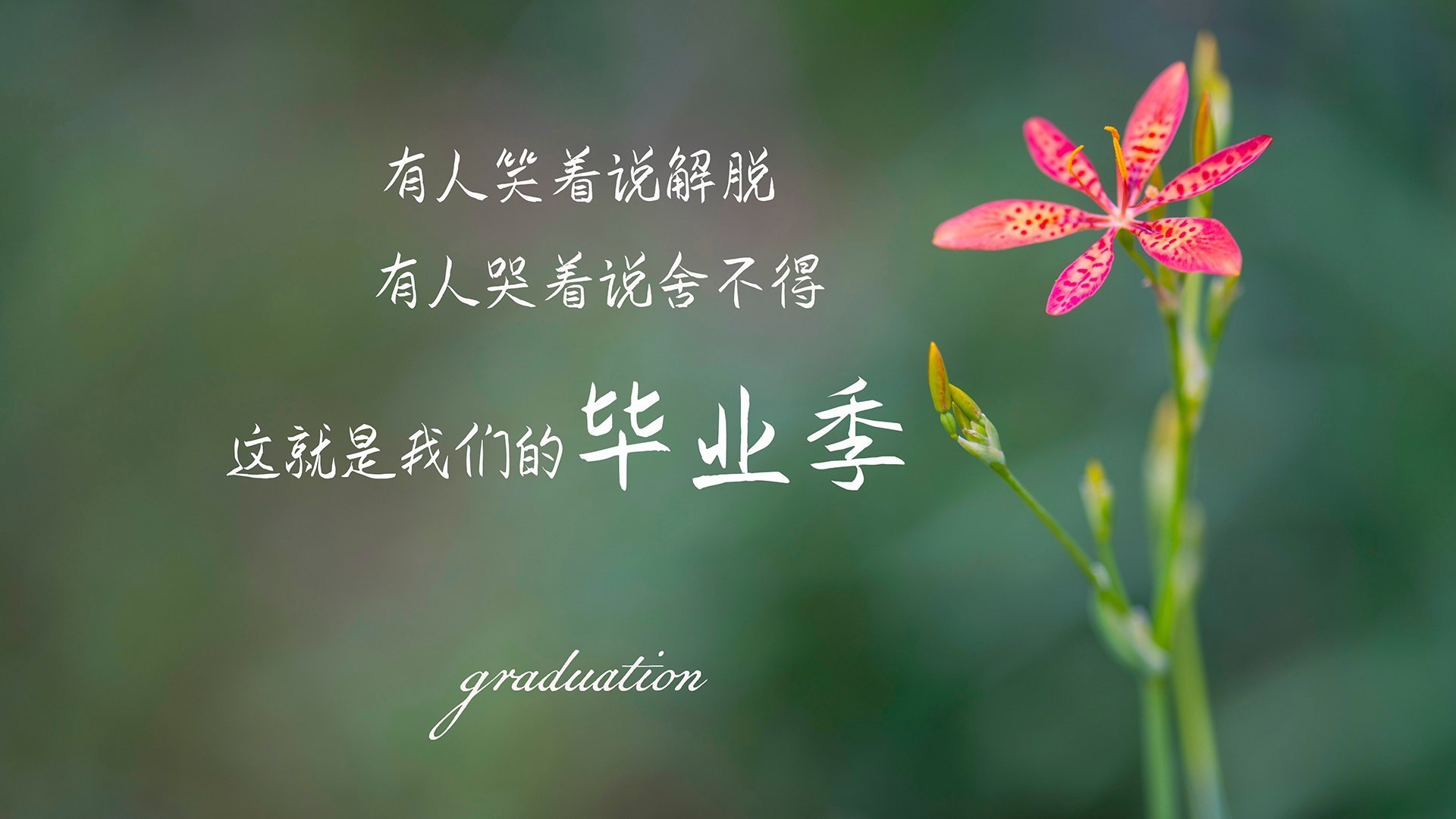 深圳领航队保持高强度训练备战接下来的强敌,深圳领航队女领队