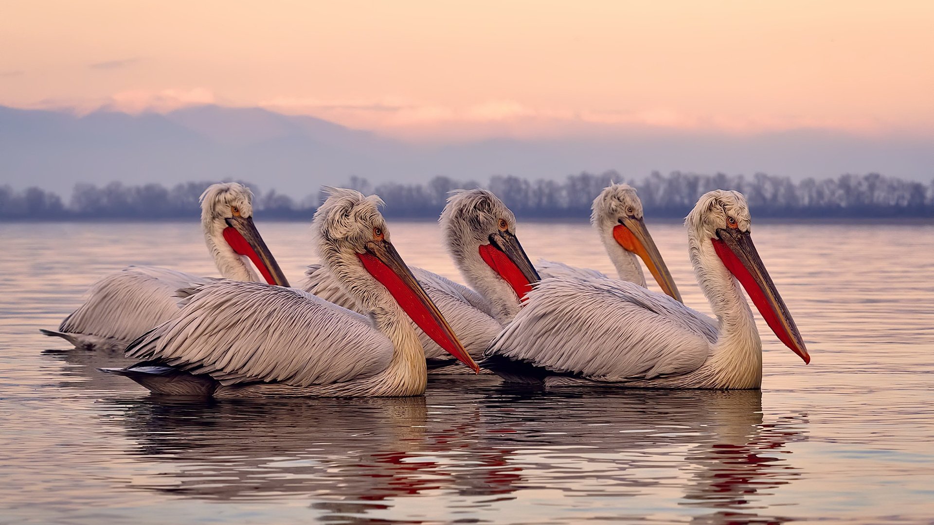 球迷文化复兴面临的最大阻碍,球迷文化复兴面临的最大阻碍是什么