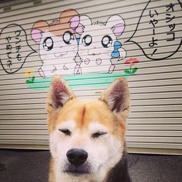 球队面对降级对抗策略中如何保持战术张弛有度,降级的球队