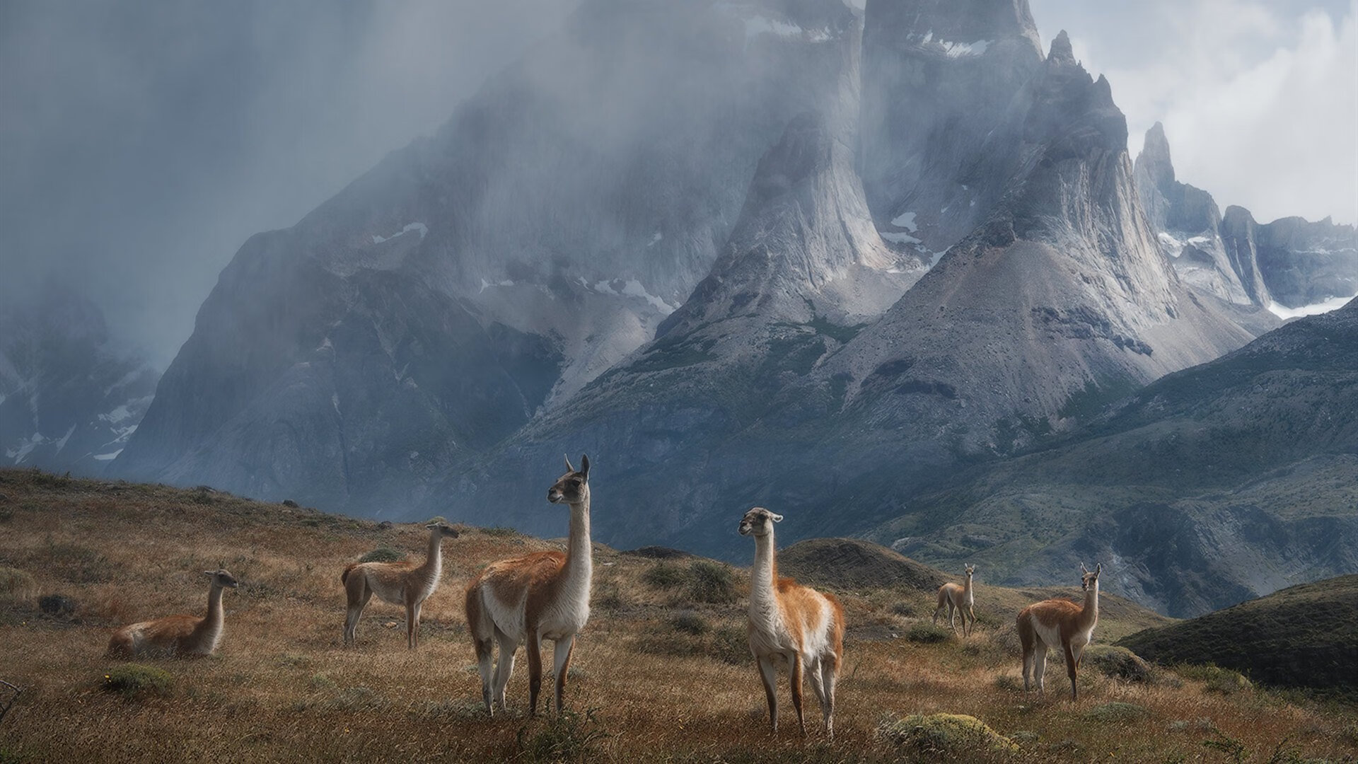体育纪录片热播带动全民运动热情,体育 纪录片