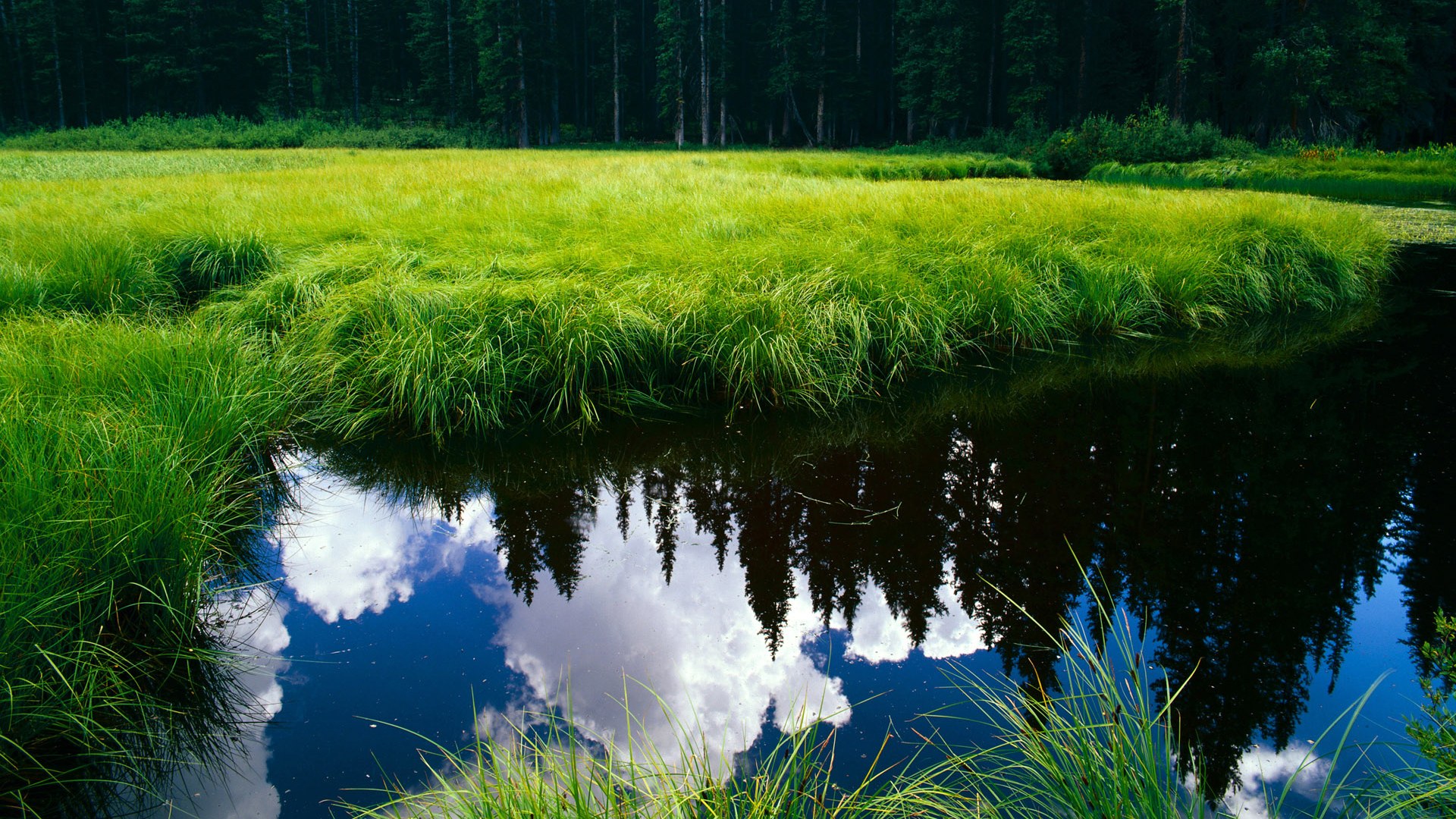 女子篮球推动核心战术板块训练强化执行效率,女子篮球基本功训练
