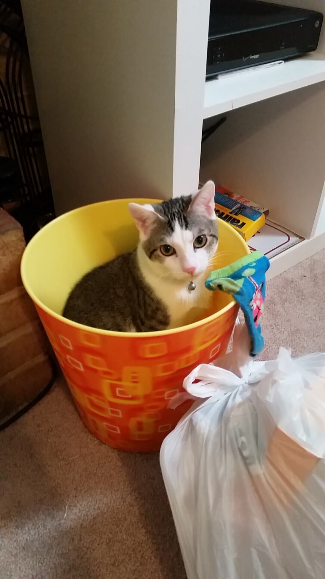 德甲顶级对决:攻势与防守的精彩交缠,德甲榜首大战